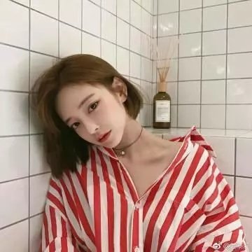 玫瑰的故事