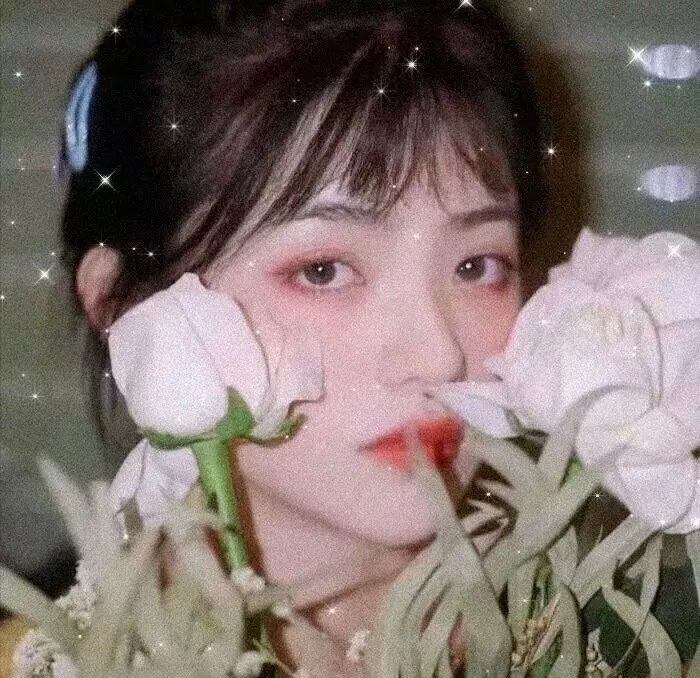 雍正王朝